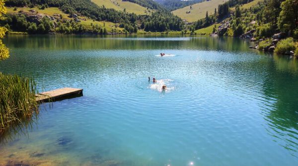 5 raisons convaincantes d'engager un pisciniste dans le Jura